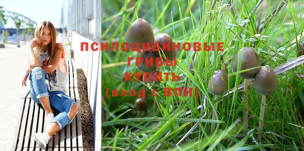 соль курить ск Богородицк