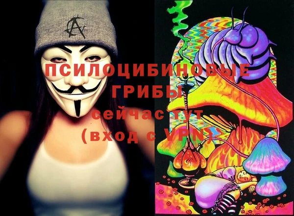 соль курить ск Богородицк