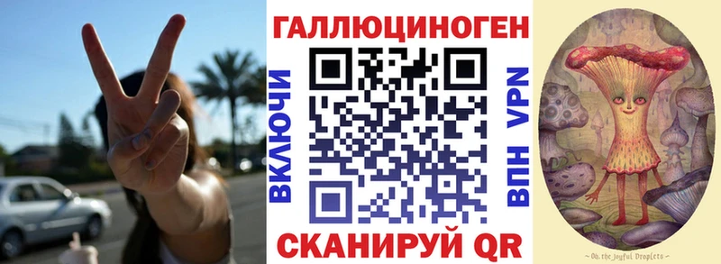 блэк спрут зеркало  Краснокаменск  Галлюциногенные грибы GOLDEN TEACHER 